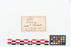 Etikett zu Bronzevierfachösenstift (NHMW-PRAE-026660)